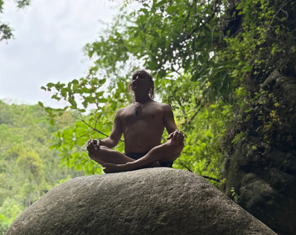 Wellness